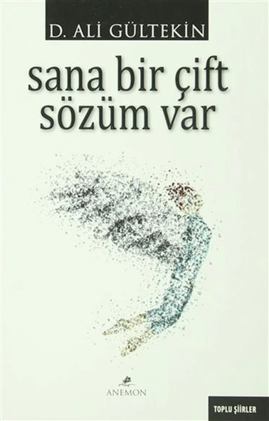 Sana Bir Çift Sözüm Var ürün görseli