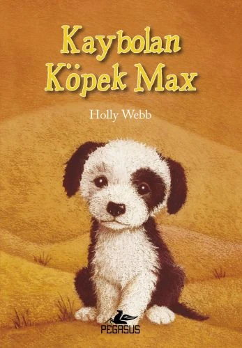 Kaybolan Köpek Max ürün görseli