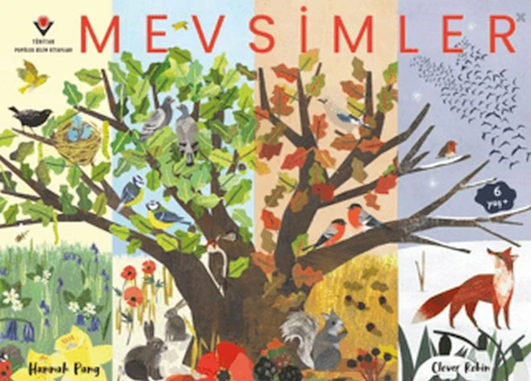 Mevsimler ürün görseli