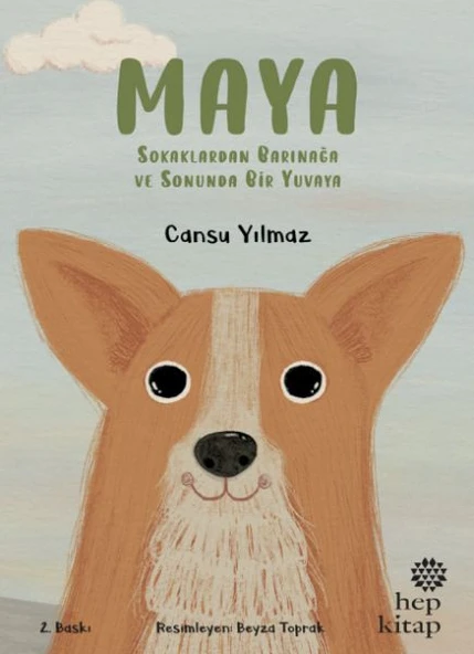 Maya - Sokaklardan Barınağa ve Sonunda Bir Yuvaya ürün görseli