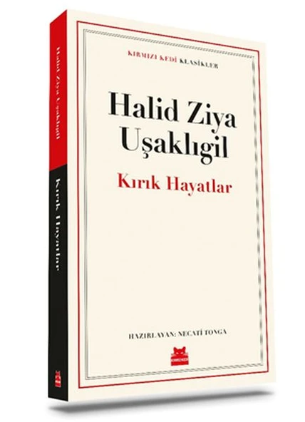 Kırık Hayatlar ürün görseli