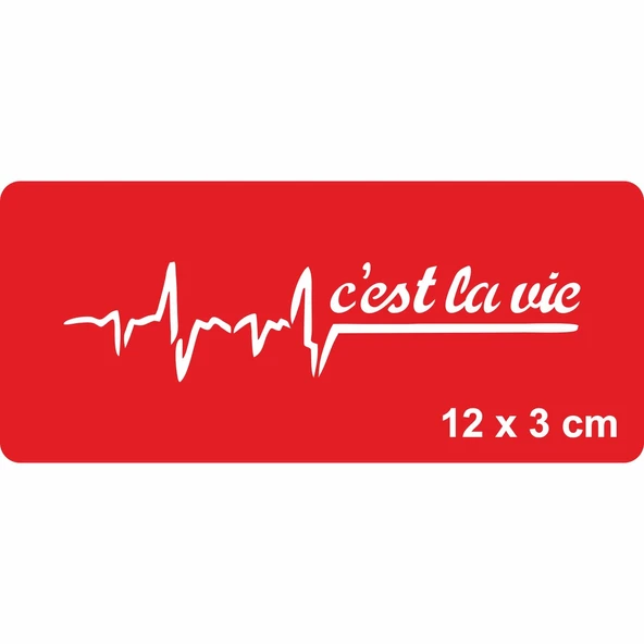 Hayat Budur!(Fransızca) Tattoo Geçici Dövme Şablonları Kına Kalıpları ürün görseli 1