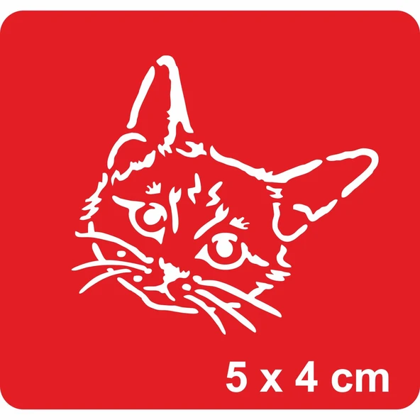 Masum Kedi Tattoo Geçici Dövme Şablonları Kına Kalıpları ürün görseli 1