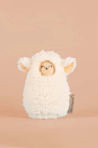 Dream Buddies – Uyku Arkadaşım Zoly - Resim 2