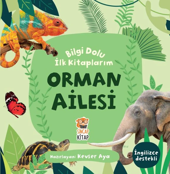 Orman Ailesi - Bilgi Dolu İlk Kitaplarım ürün görseli