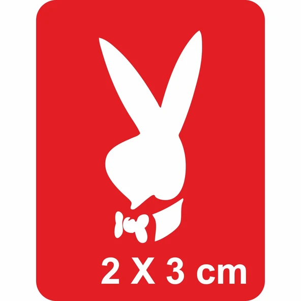 Aşk Tavşanı Playboy Tattoo Geçici Dövme Şablonları Kına Kalıpları ürün görseli 1