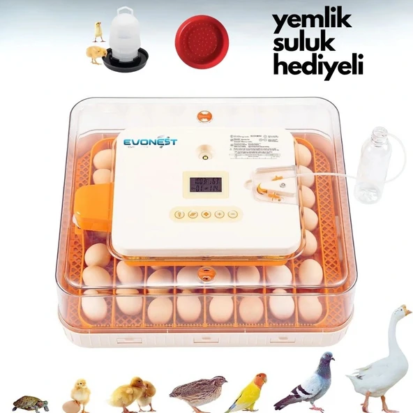 Evonest 56 Yumurtalık Kuluçka Makinesi | Turuncu Model
