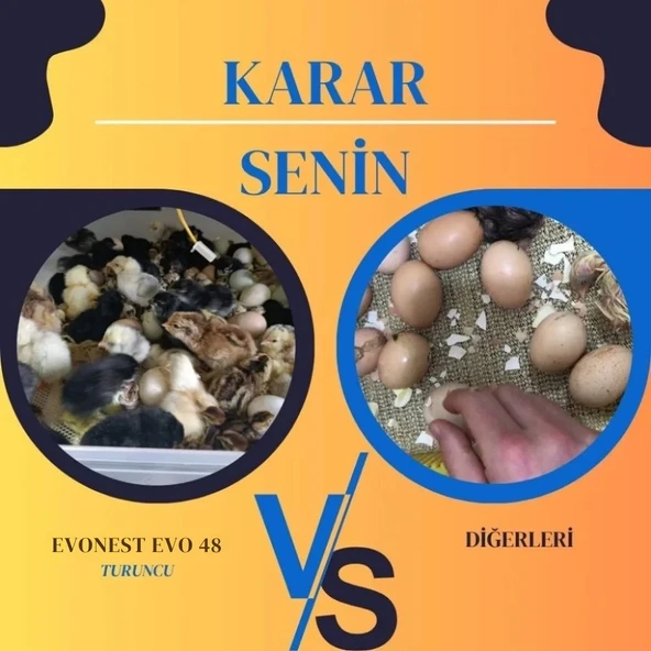 Evonest 56 Yumurtalık Kuluçka Makinesi | Turuncu Model - 9