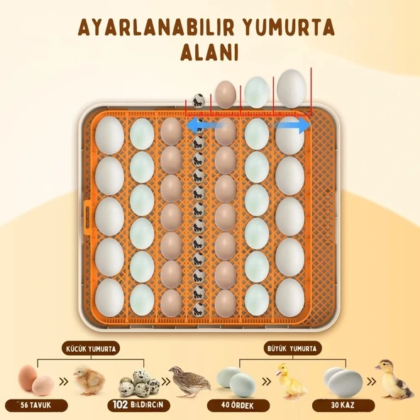 Evonest 56 Yumurtalık Kuluçka Makinesi | Turuncu Model - 6