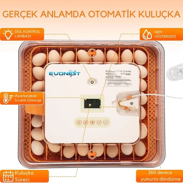 Evonest 56 Yumurtalık Kuluçka Makinesi | Turuncu Model - 4