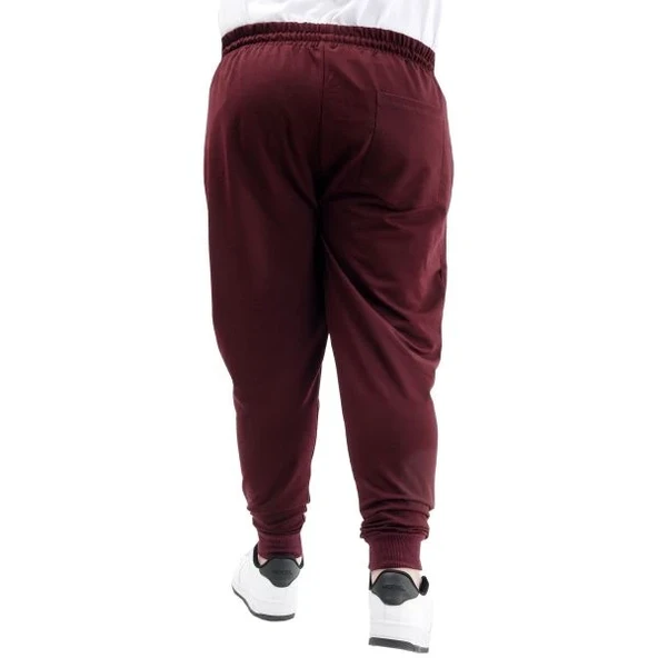 Büyük Beden Eşofman Altı Dar Paça Zippered 22501 Mürdüm - 4
