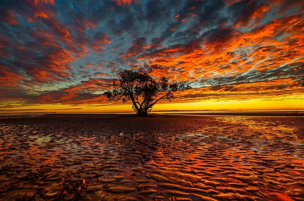 Bulut Ağaç Günbatımı Manzaralı Duvar Kağıdı - Resim 7