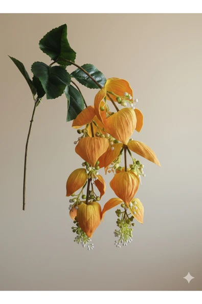 1 Adet 2 Dallı Sarı Medine Gülü Saksı Süsü - Resim 2