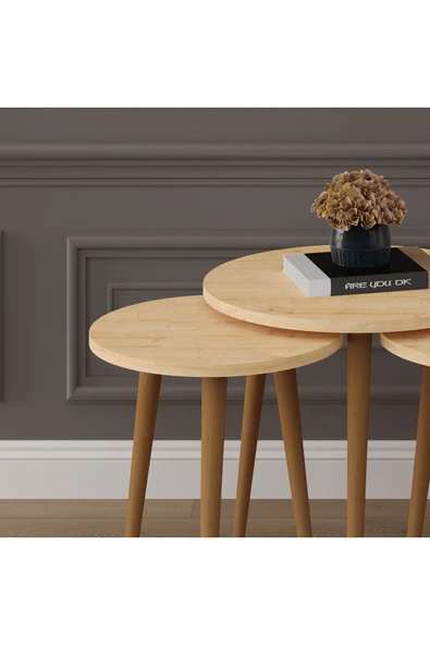 3’lü YUVARLAK ZİGON SEHPA AHŞAP AYAKLI  SAFİR MEŞE - Resim 3