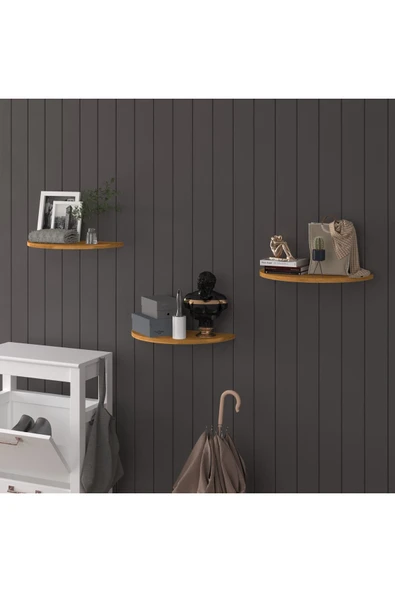 Doğal Modern Organizer Düzenleyici 3'lü Oval Dekoratif Kitaplık Banyo Mutfak Duvar Rafı  Petra - Resim 2