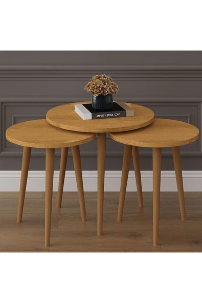 3’lü YUVARLAK ZİGON SEHPA AHŞAP AYAKLI  PETRA - Resim 2