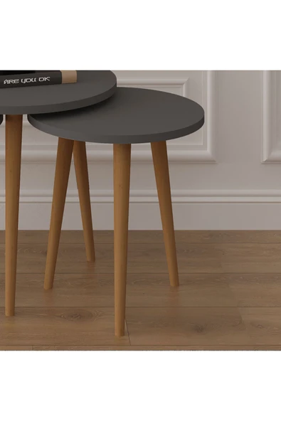 3’lü YUVARLAK ZİGON SEHPA AHŞAP AYAKLI  ANTRASİT - Resim 3
