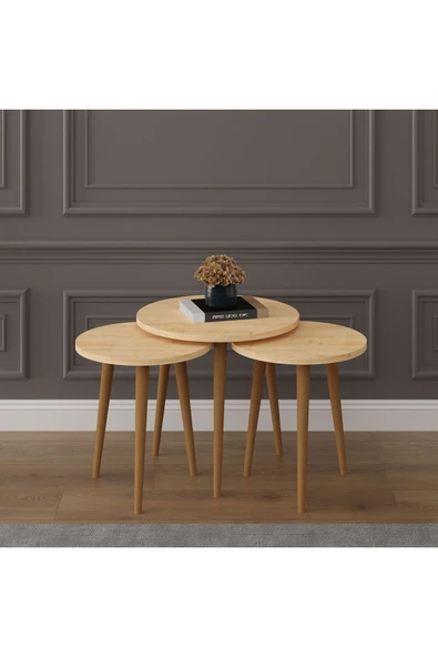 3’lü YUVARLAK ZİGON SEHPA AHŞAP AYAKLI  SAFİR MEŞE ürün görseli