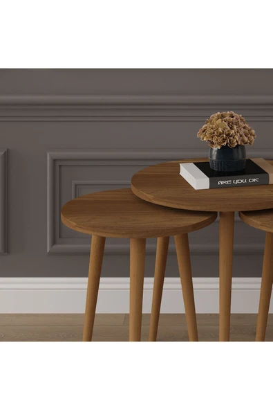 3’lü YUVARLAK ZİGON SEHPA AHŞAP AYAKLI  NEVADA - Resim 5