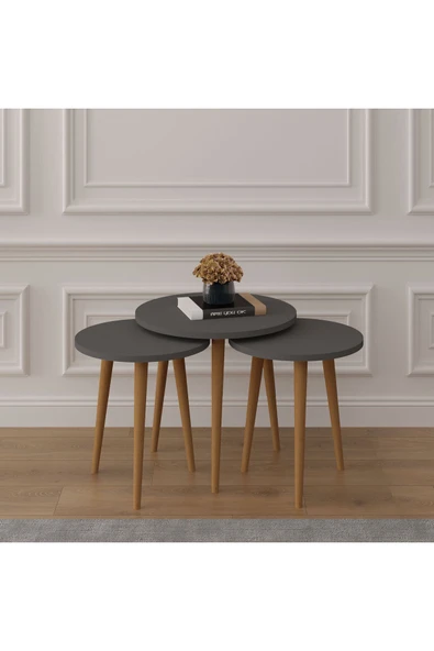 3’lü YUVARLAK ZİGON SEHPA AHŞAP AYAKLI  ANTRASİT ürün görseli