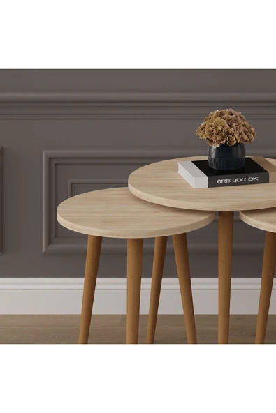 3’lü YUVARLAK ZİGON SEHPA AHŞAP AYAKLI  SONOMA - Resim 3