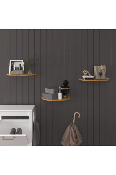 Doğal Modern Organizer Düzenleyici 3'lü Oval Dekoratif Kitaplık Banyo Mutfak Duvar Rafı  Petra ürün görseli