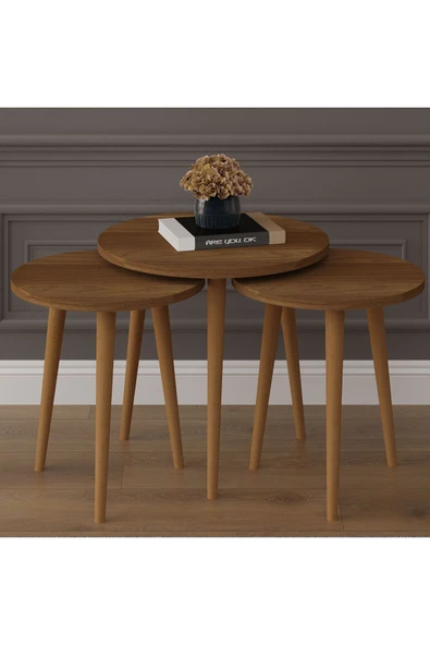 3’lü YUVARLAK ZİGON SEHPA AHŞAP AYAKLI  NEVADA - Resim 2