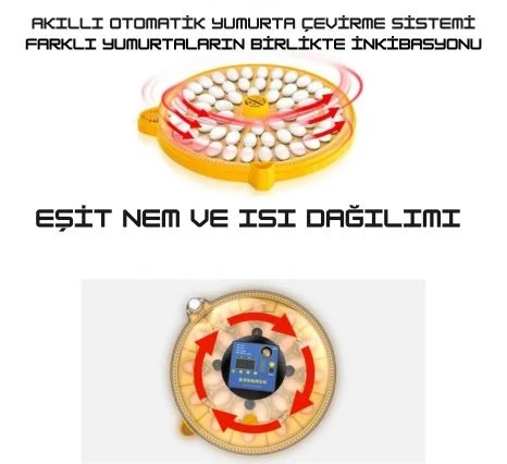 Evonest Evo-UFO-48 | 48 Yumurtalık UFO Model Tam Otomatik Kuluçka Makinesi - 9