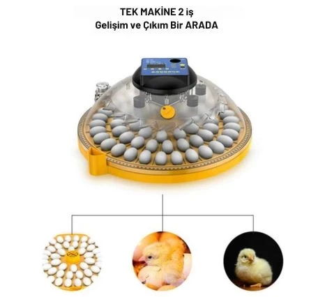 Evonest Evo-UFO-48 | 48 Yumurtalık UFO Model Tam Otomatik Kuluçka Makinesi - 2
