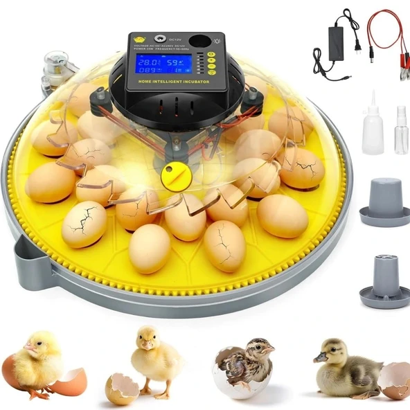 Evonest Evo-UFO-48 | 48 Yumurtalık UFO Model Tam Otomatik Kuluçka Makinesi - 5