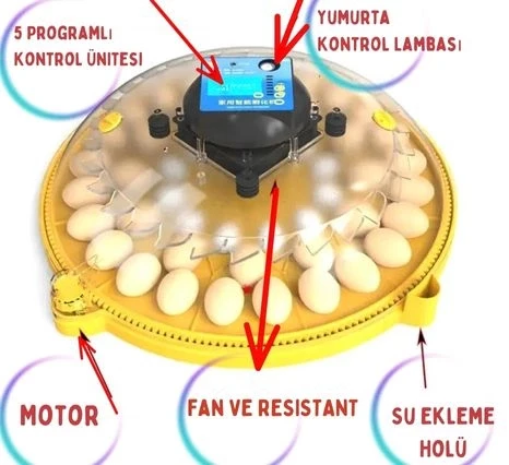 Evonest Evo-UFO-48 | 48 Yumurtalık UFO Model Tam Otomatik Kuluçka Makinesi - 12