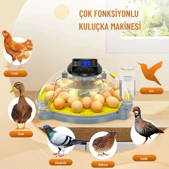 Evonest Evo-UFO-48 | 48 Yumurtalık UFO Model Tam Otomatik Kuluçka Makinesi