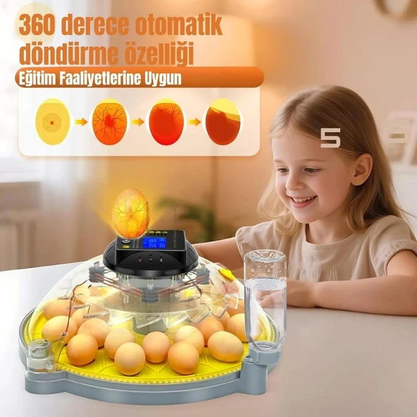 Evonest Evo-UFO-48 | 48 Yumurtalık UFO Model Tam Otomatik Kuluçka Makinesi - 7
