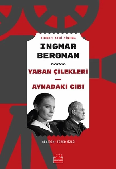 Yaban Çilekleri - Aynadaki Gibi ürün görseli