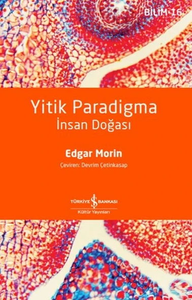 Yitik Paradigma: İnsan Doğası ürün görseli