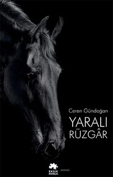 Yaralı Rüzgâr ürün görseli