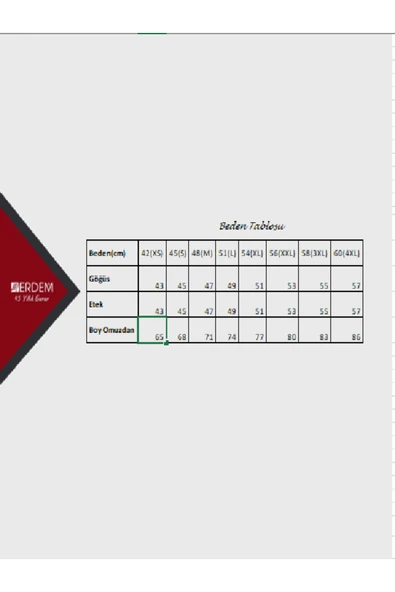 ERDEM İÇ GİYİM Erdem Beyaz Slim Fit Tişört 1122 - Resim 2