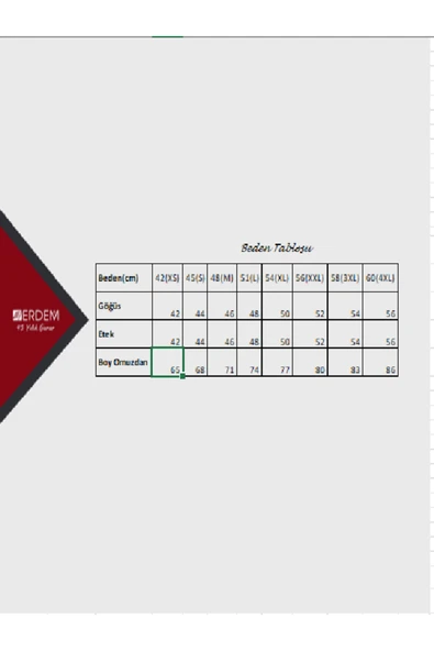 ERDEM İÇ GİYİM Erdem Siyah Slim Fit Uzun Kol Tişört 1123 - Resim 3