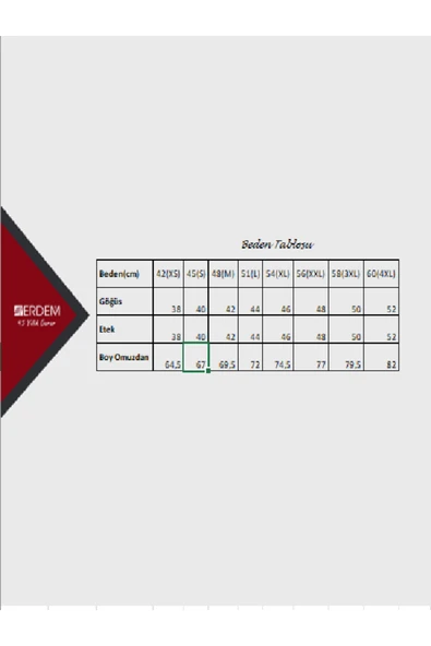 ERDEM İÇ GİYİM Erdem Gri Düğmeli Kaşkorse Tişört 1125 - 5