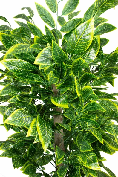 Yapay Ceviz Ağacı Sarı Desenli 180 Cm - 2