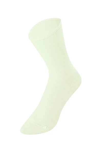ERDEM İÇ GİYİM Weweus Mint Erkek Merserize Çorap 718 ürün görseli