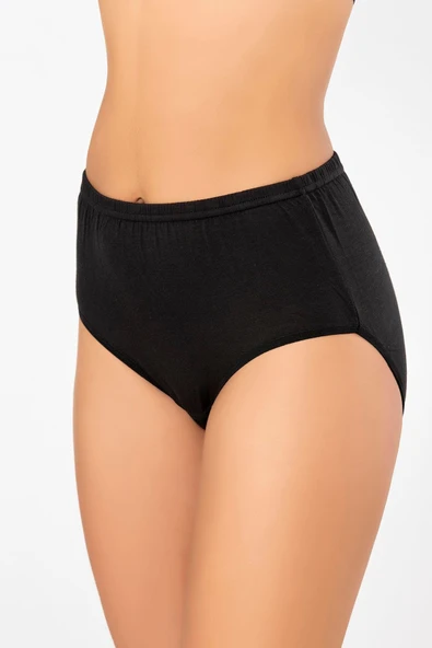 ERDEM İÇ GİYİM Weweus Siyah Süper Ince Doğal Bambu Lüks Külot 2516 - Resim 5