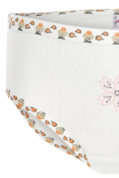 ERDEM İÇ GİYİM Erdem Beyaz Ribana Taşlı Kız Çocuk Külot 4325 - Resim 2