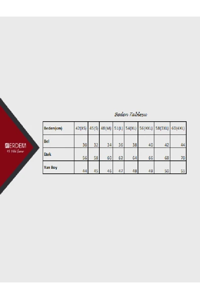 ERDEM İÇ GİYİM Erdem Beyaz Kadın Micro Kısa Jüpon 2372 - Resim 2