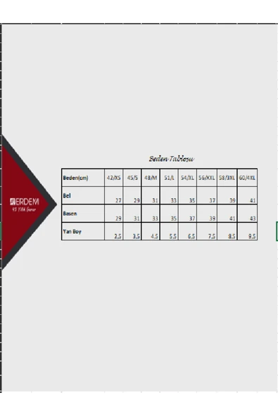 ERDEM İÇ GİYİM Erdem Beyaz Klasik Külot 7105 - Resim 4
