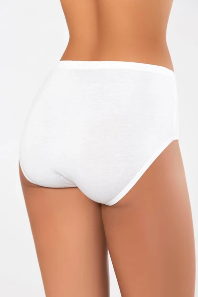 ERDEM İÇ GİYİM Weweus Beyaz Süper Ince Doğal Bambu Külot 2516 - Resim 4