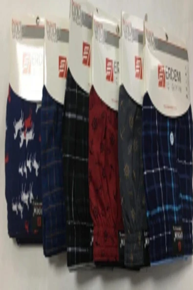 Erdem 6 Li Erkek Desenli Penye Boxer - Resim 3