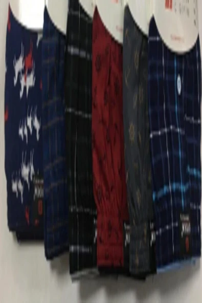 Erdem 6 Li Erkek Desenli Penye Boxer - Resim 2