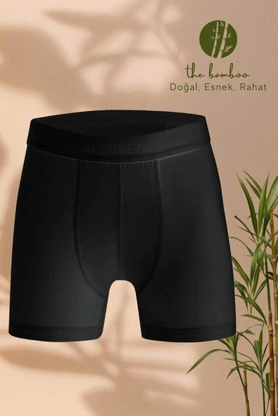 ERDEM İÇ GİYİM Weweus Siyah Erkek Çocuk Süper Ince Doğal Bambu Lüks Boxer 3365 - Resim 3