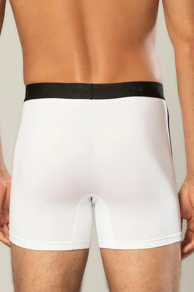ERDEM İÇ GİYİM Erdem Beyaz Pamuk Elastan Uzun Boxer 1417 - Resim 4